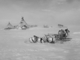 the Nenets camp Yamal Polar Urals